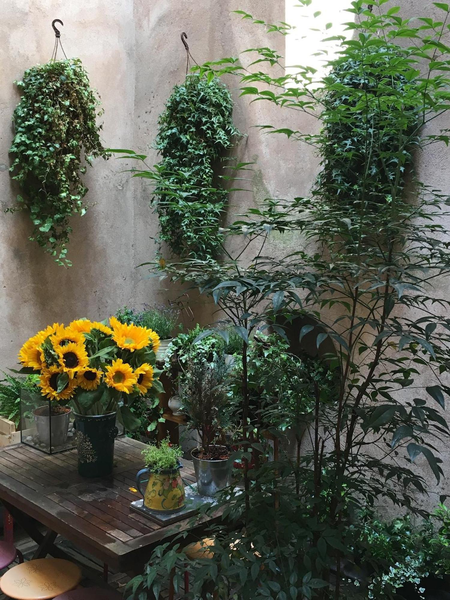 Triplex Avec Terrasse, Aux Pieds De La Cathedrale, 5 Personnes Appartement