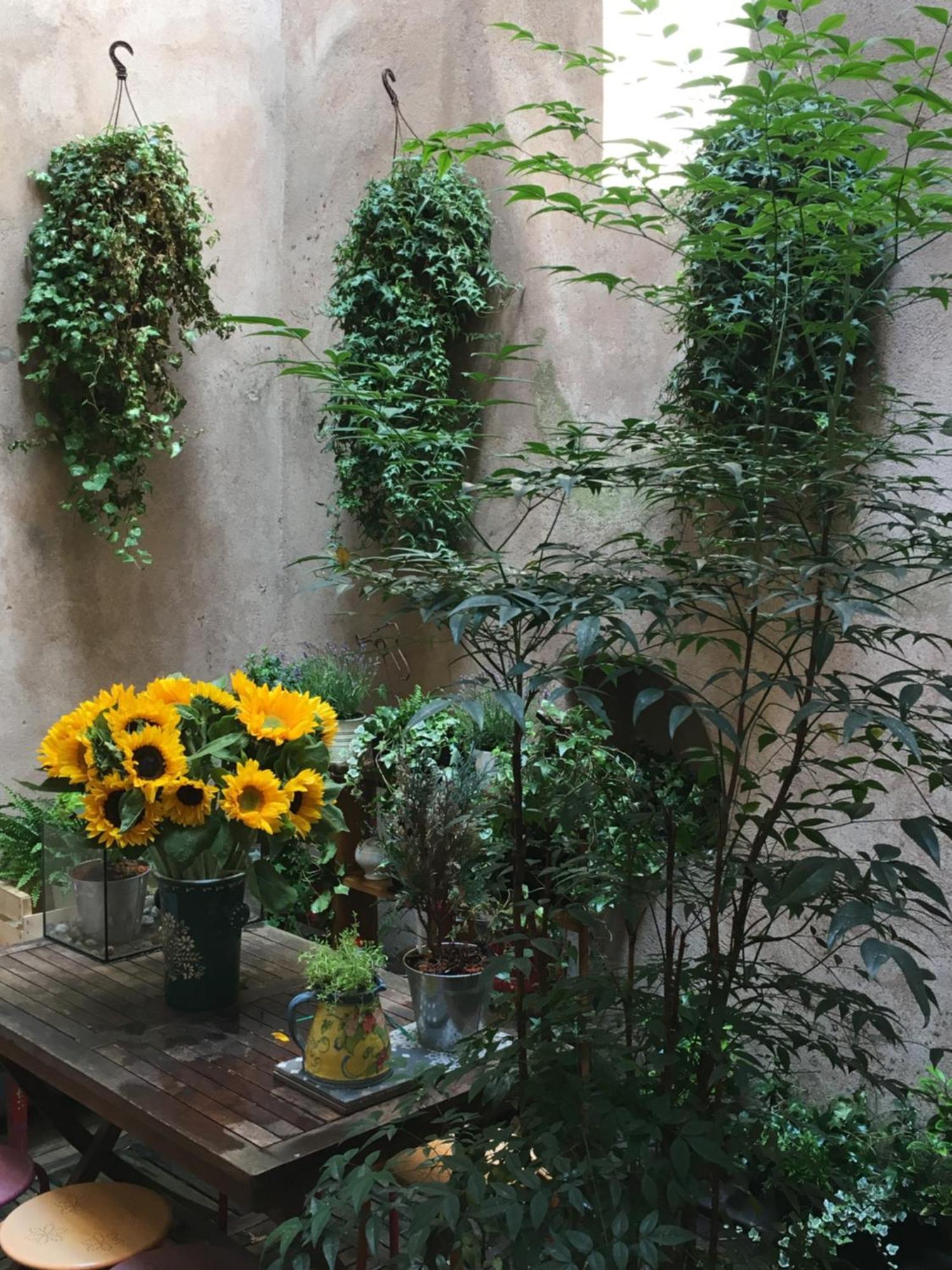 Appartement Triplex Avec Terrasse, Aux Pieds De La Cathedrale, 5 Personnes *